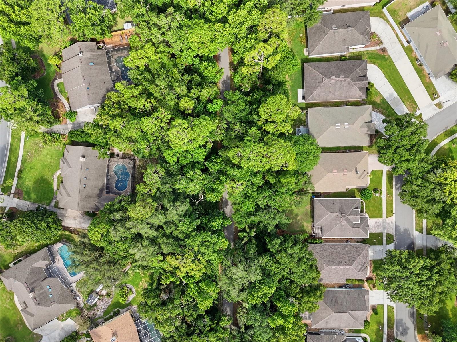 107 Golden Crest Court