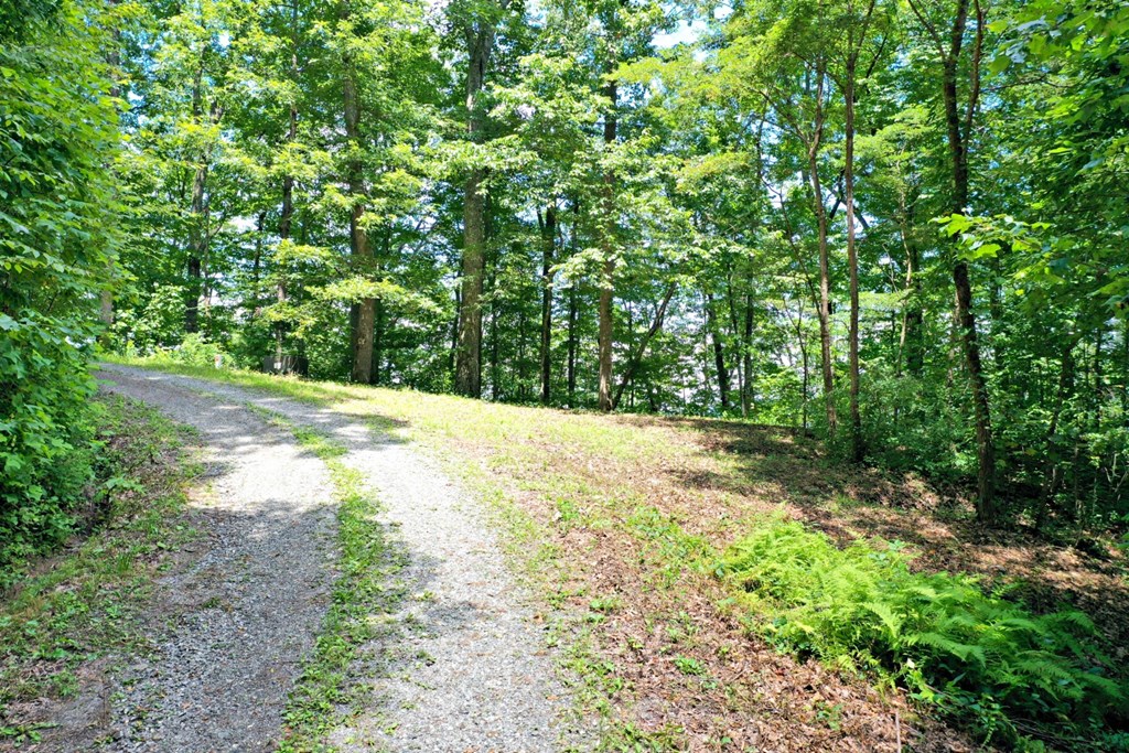 Oat Field Road