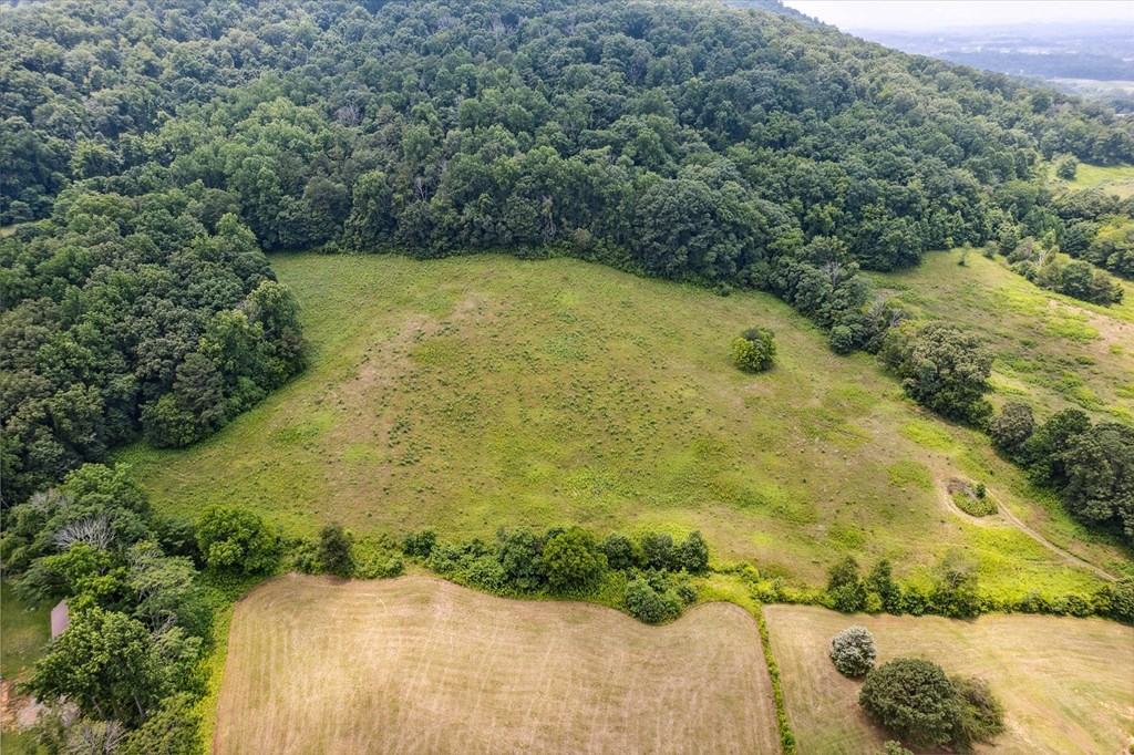 377 Thomas Loop Road
