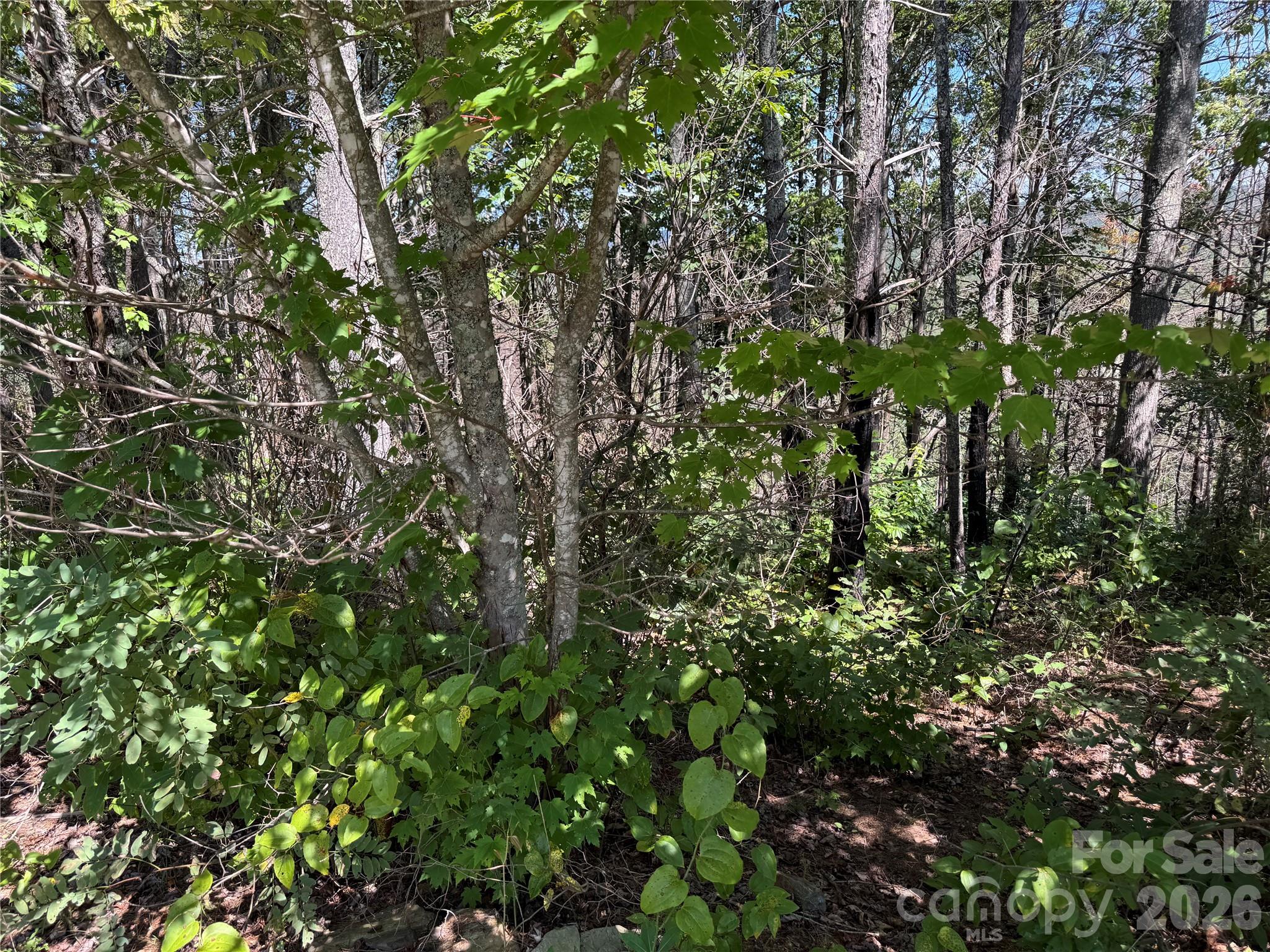 1.46 acres, Lot 48 Tomahawk Ridge Drive Lot 48