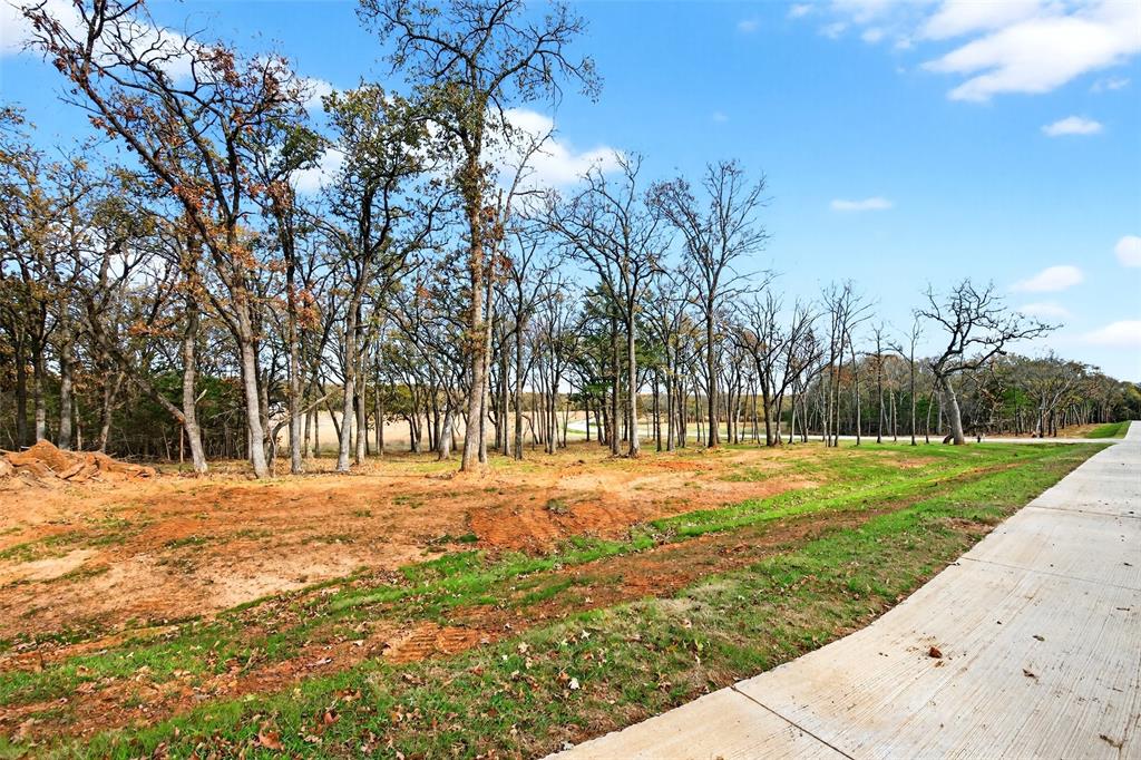 Lot 81 Buck Trail