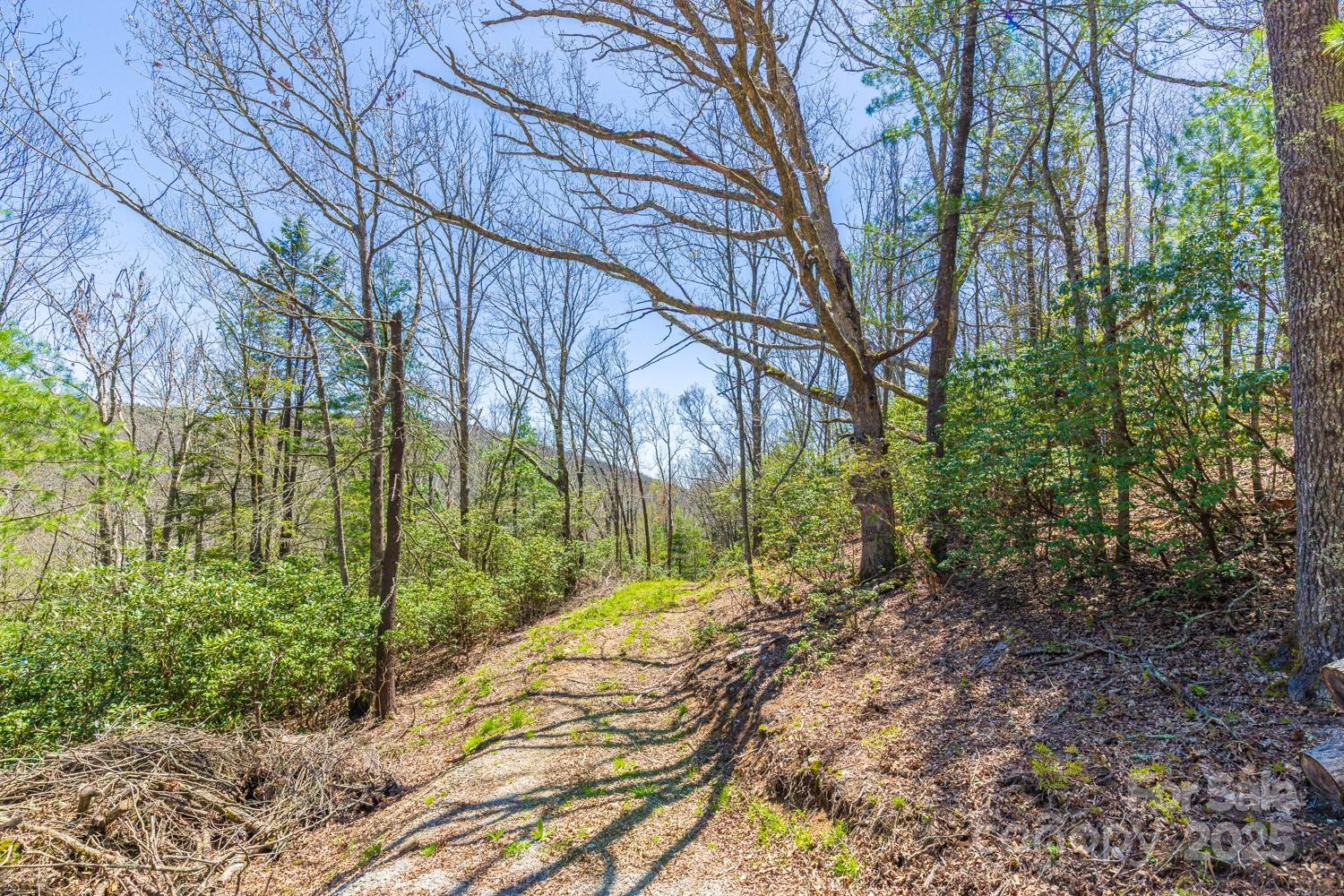 99999 Fairview Forest Drive