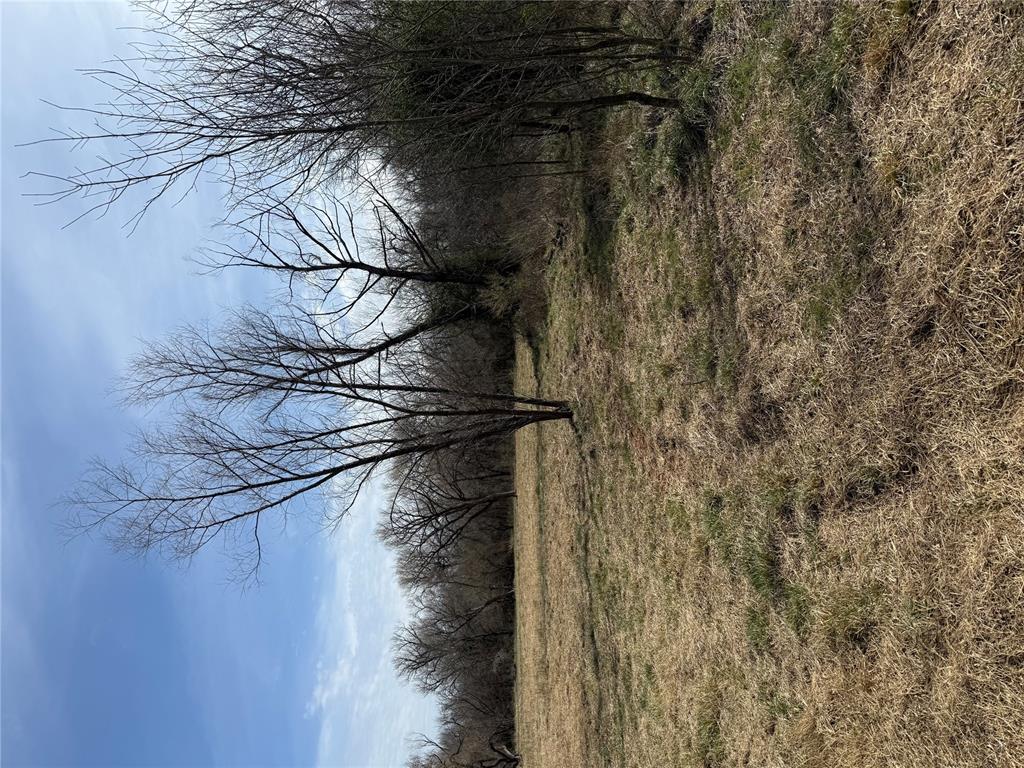 Beautiful 20 acres MOL that has had lots of recent clearing for a nice home site in several possible areas, with great views!  Make this your peaceful place to build your dream home!  It's located only 1/2 mile to Thunderbird Lake and just 15 minutes to Norman.  Property is partially fenced on the North, South & West sides.  It's approximately 660 feet from West to East and 1/4 mile or 1,320 feet from North to the South.  It's the perfect time of year to build.   Come check it out today!