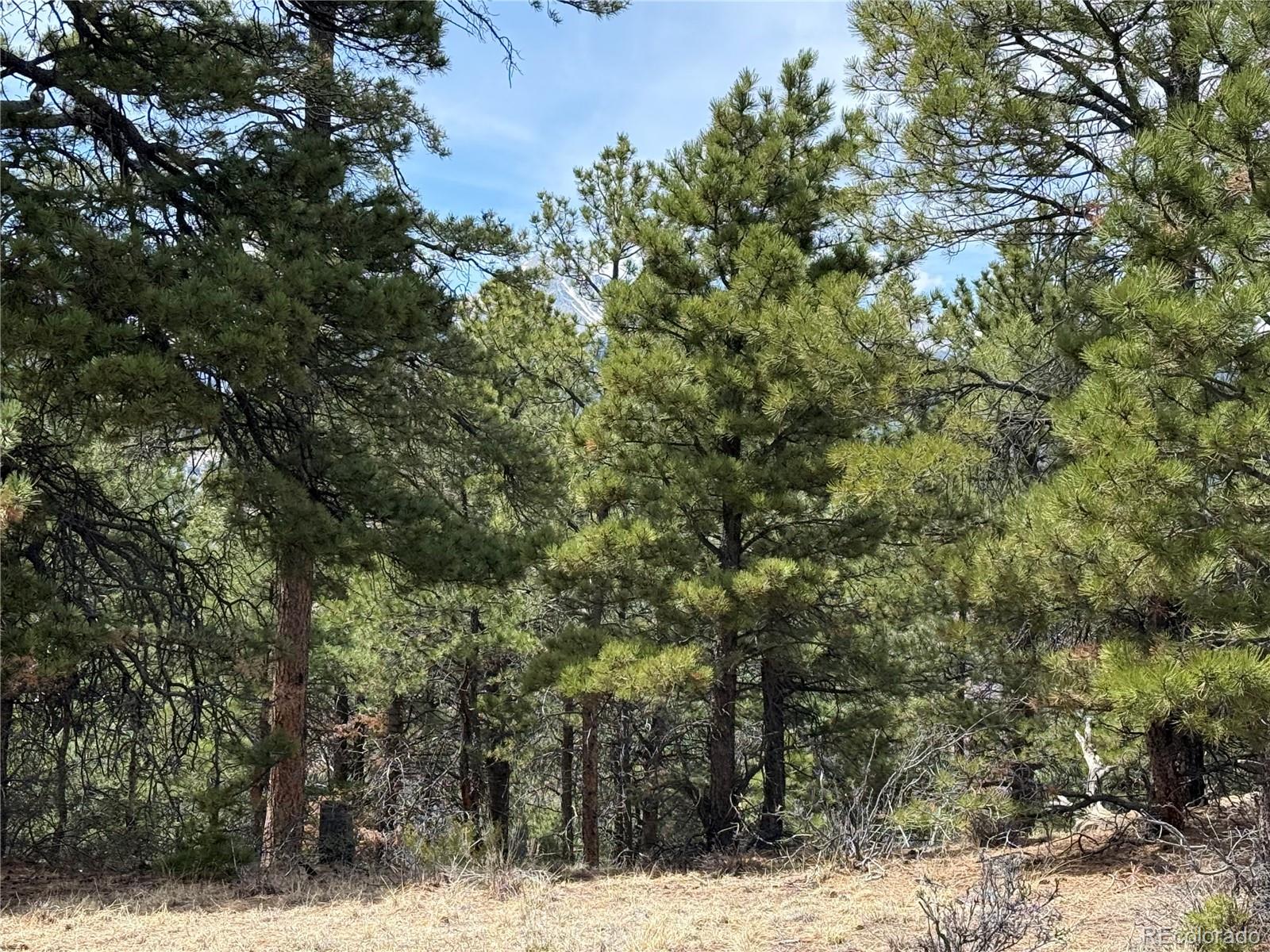 Lot 152 Tahmoush Lane