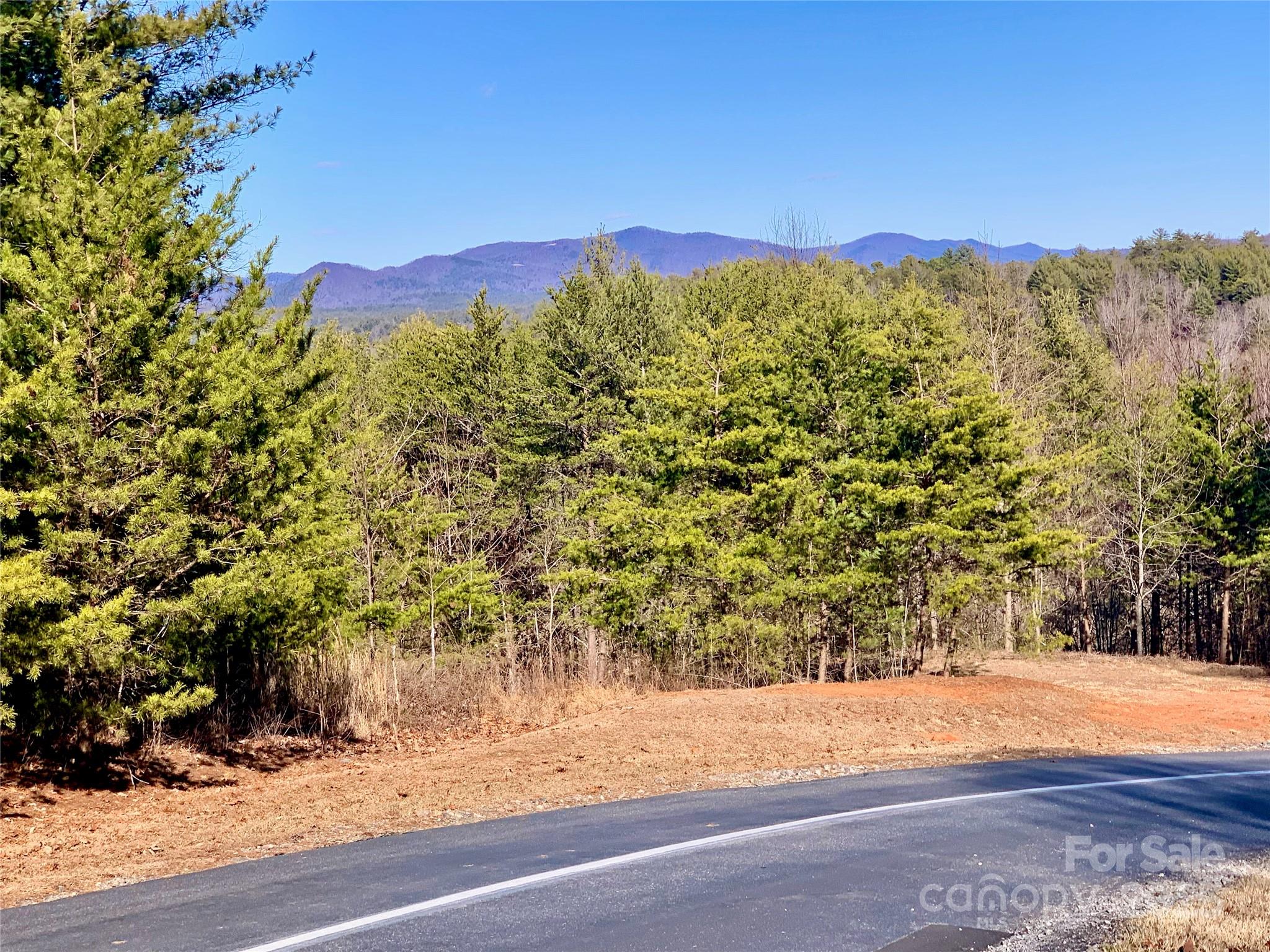 1879 Johns Ridge Parkway Lot 163