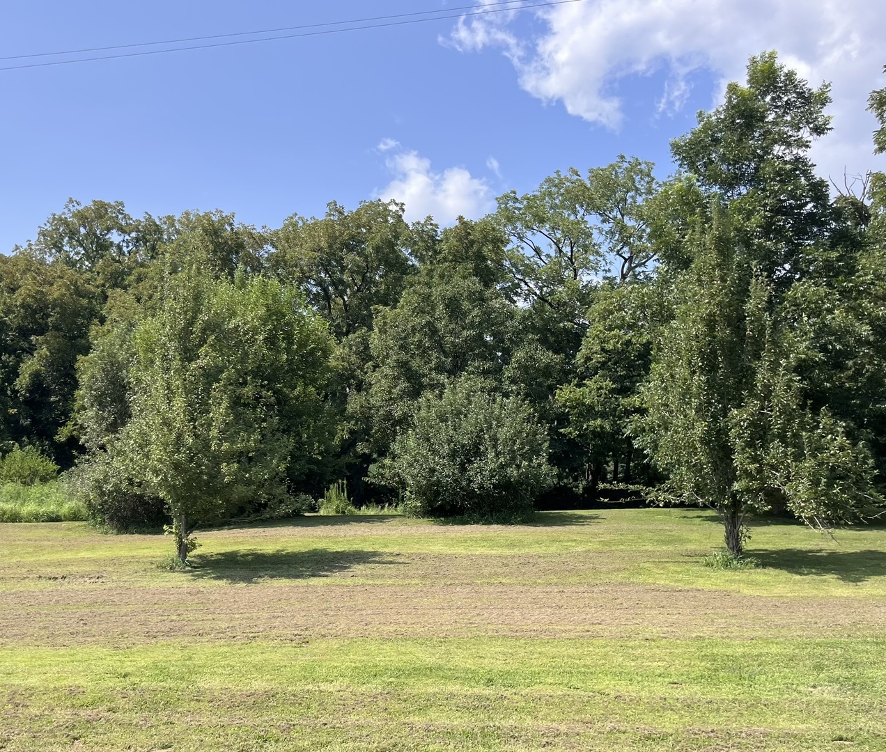 22932 State Highway 106