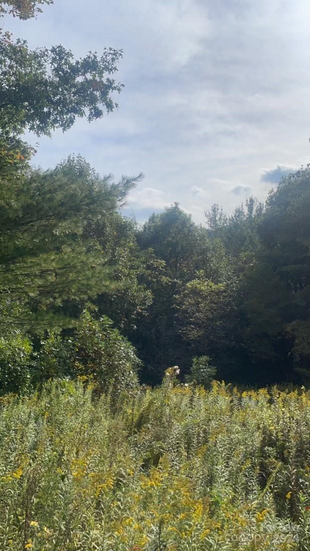 2758 Gouges Creek Road