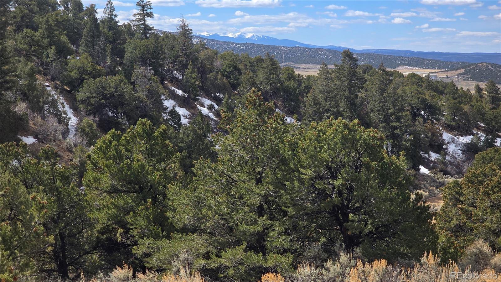 Lot 1628 Hidalgo Road