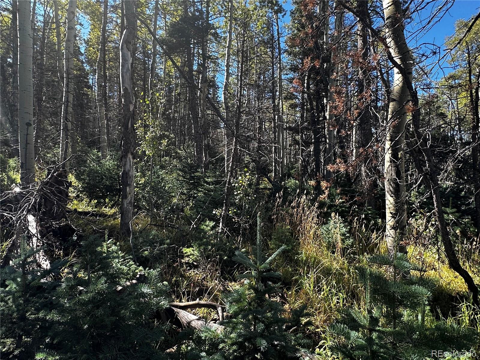Lot 2652 Petito Drive