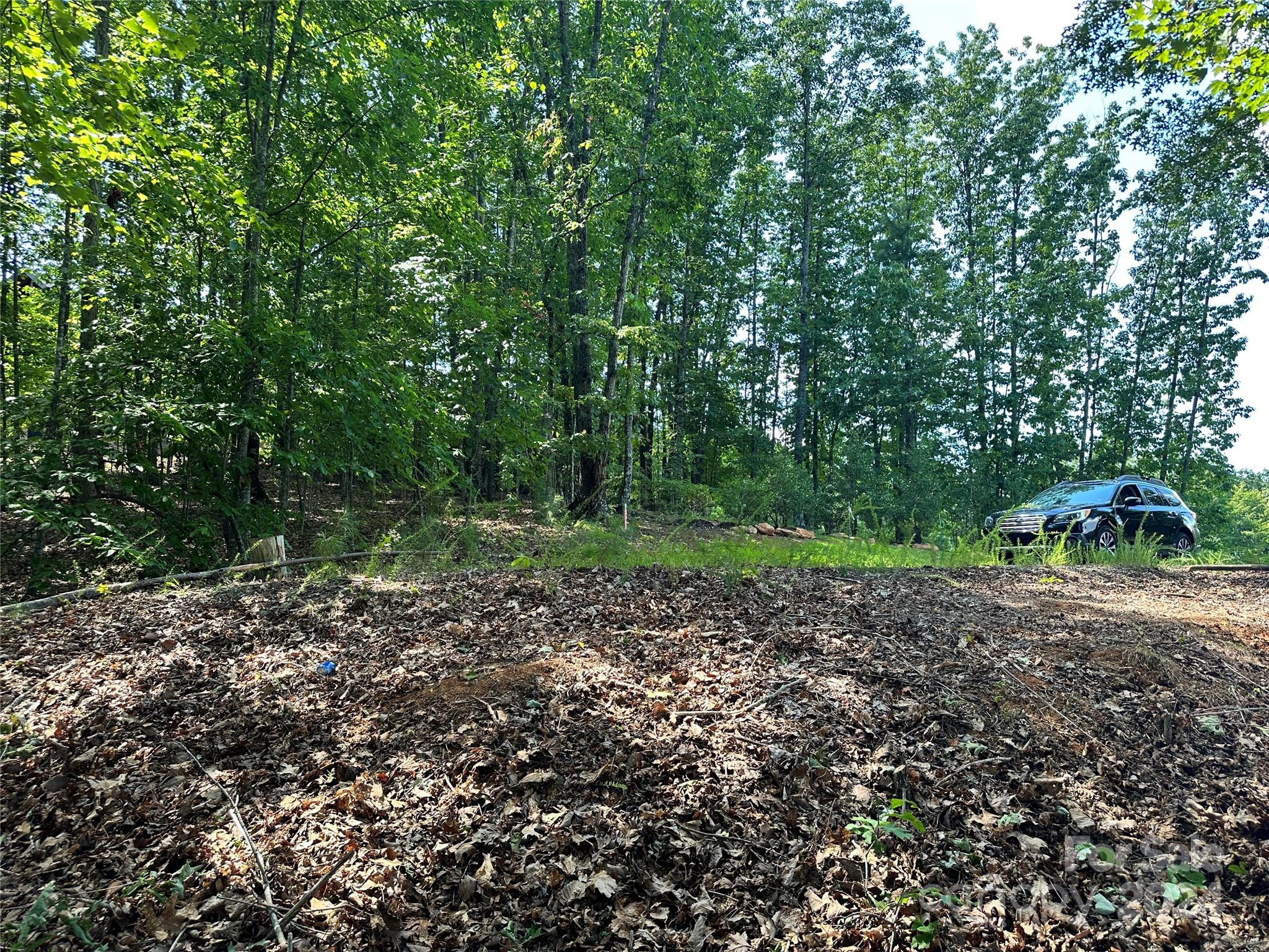 65 Serene Trail 461