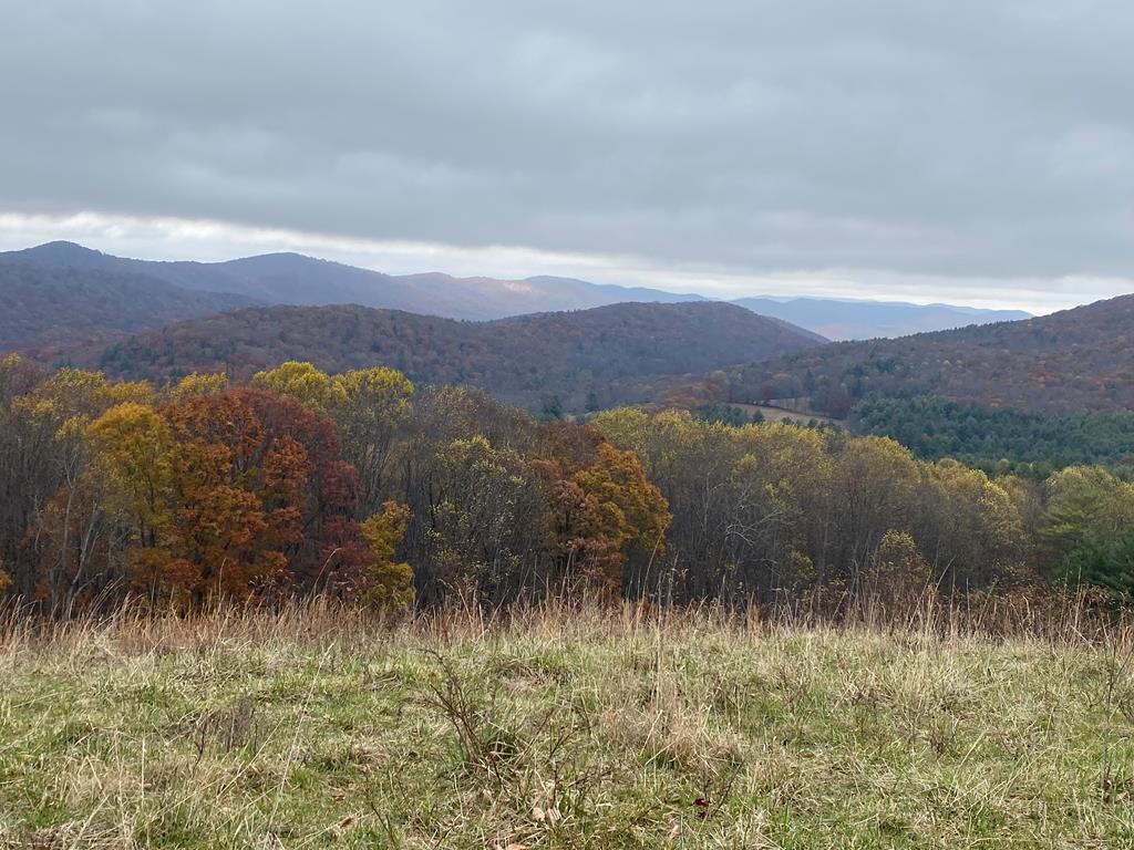 Discover “The Jewel of the Appalachia's” — a rare 132.5-acre property combining fertile farmland, lush pasture, and rich woodland, all set against the scenic Appalachian backdrop. With 27 acres of cropland, 93 acres of pasture, and the remainder in mature timber, this versatile farm is ready for agricultural, recreational, or investment use.  The property is fully equipped for cattle operations, featuring cross-fenced pastures, multiple water sources, and a functional barn, all set up and ready for use. Farm equipment, vehicles, and supplies currently on-site convey with the sale, making this a turnkey opportunity. Natural resources abound with two wells, two creeks, and multiple natural springs, plus public water available adjacent to the property. Approximately $75,000 in standing timber provides added value. The land backs up to national forest, offering direct access to endless outdoor recreation and privacy. Additional highlights include  mile of state-maintained road frontage, Point Broadband internet availability, and proximity to I-81—just 14 minutes away. Elevation ranges from 2,700 to 3,050 feet, providing beautiful mountain views and healthy pastureland. Offered with a $175,000 conservation easement opportunity, this property provides both ecological and financial benefits. With no restrictions other than standard zoning, this land invites your vision—whether a working farm, private retreat, or investment in Appalachian heritage. The information contained herein is deemed accurate and obtained from reliable sources but is not guaranteed. Buyer or buyer's agent to verify all information.