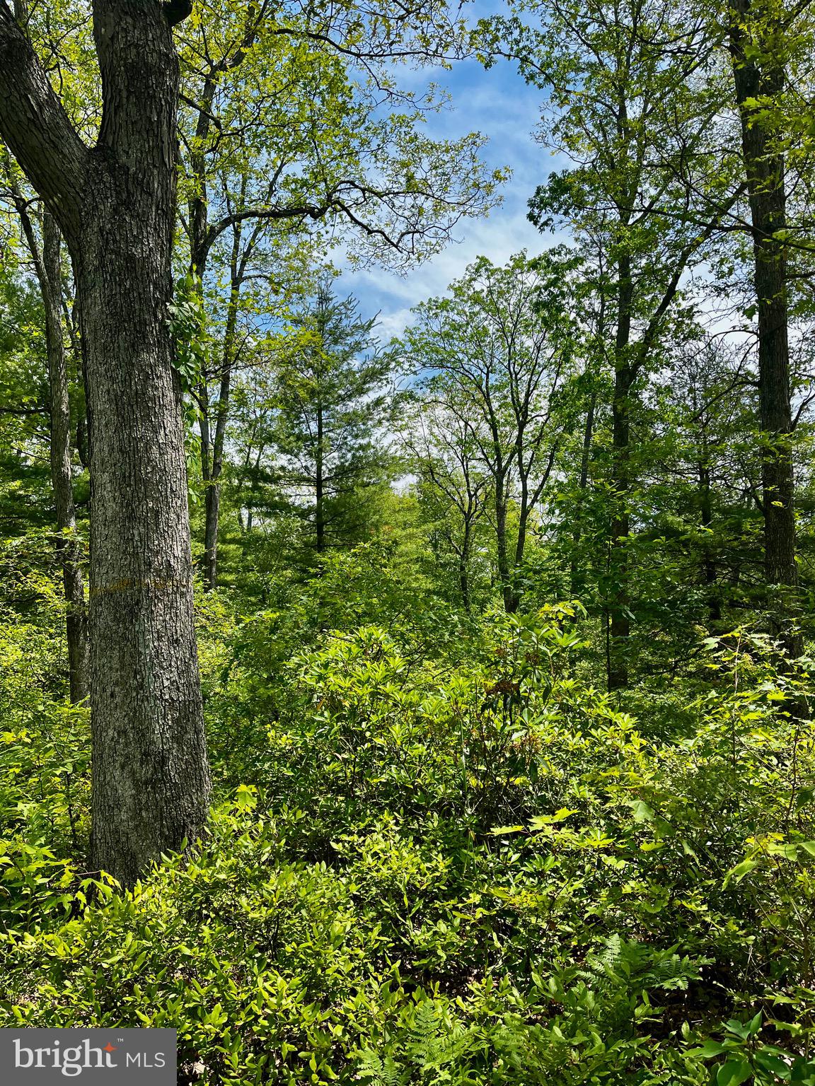 16 Beech Creek Mountain Road