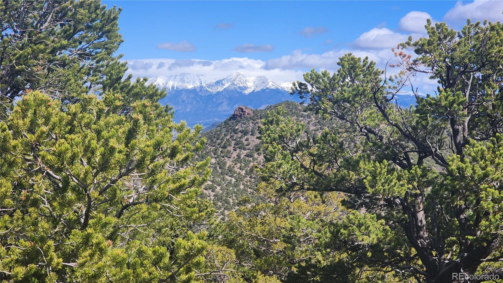 5040 & 5041 Mamouche Road