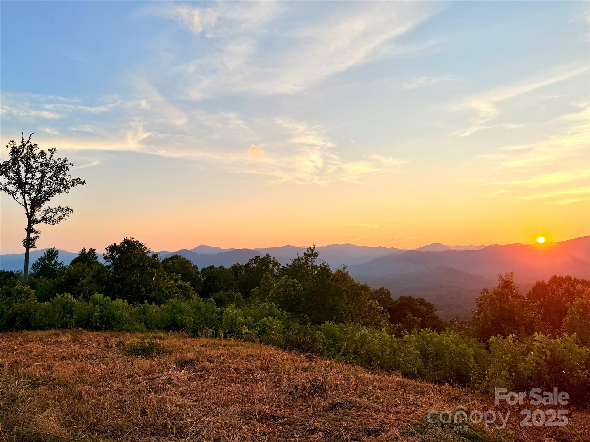 OWN YOUR One-Of-A-Kind Mountain Countryside! The 100-MILE +/-VIEWS of WNC & a CAVE YOU need to see in person for an experience that CAN'T be felt in pics awaits! A Helipad, maybe, or land a small plane?!? Coupled w/ 100- MILE+/- VIEWS, the natural palette surrounding- Mother Nature's creation would be YOUR yard! Sightsee to the hiking/mountain biking trail along the bottom of the 5 lots, an adventure into A CAVE w/crystal clear, teal/aquamarine water. Your OWN "Nature Park"! CALL/TEXT for a personalized tour! This listing is +/-100 acres - 5 parcels, INCLUDING road to access, shared well & inground electricity for the homesite "ready" (*Potentially subdivide. Land split on both sides "equal")! Privacy & mountain life seclusion, accessed through the safety of a gated community(*No Restrictions!)! (*OPTION=Purchase total of almost 170+/- Acres from seller at "bulk price", WOULD INCLUDE an UNIMAGINABLE 150FT+ WATERFALL, pond w/creeks, Homesite each lot, & VIEWS-check other MLS#s Listed.)