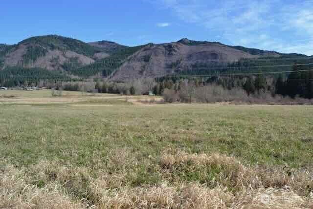 Beautiful nearly 40 acre vacant land parcel just minutes from the amenities of Morton.  Previously used as both pasture and hay field, this property is partially fenced and well suited for livestock or agricultural use.  While roughly two thirds of the property is in a 100 year flood plain (likely due to the creek on the property), the rest is dry leaving plenty of space to build your dream home and still have plenty of room for recreation and critters.  Enjoy peaceful rural surroundings with convenient access to town.