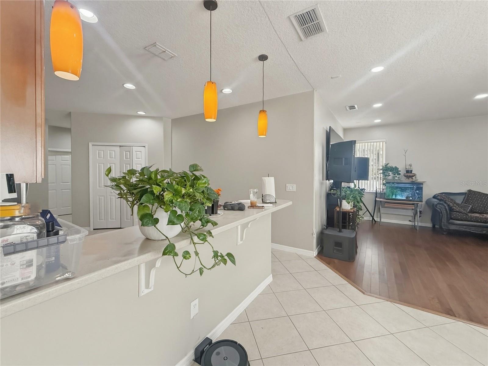 2056 Clapper Trail