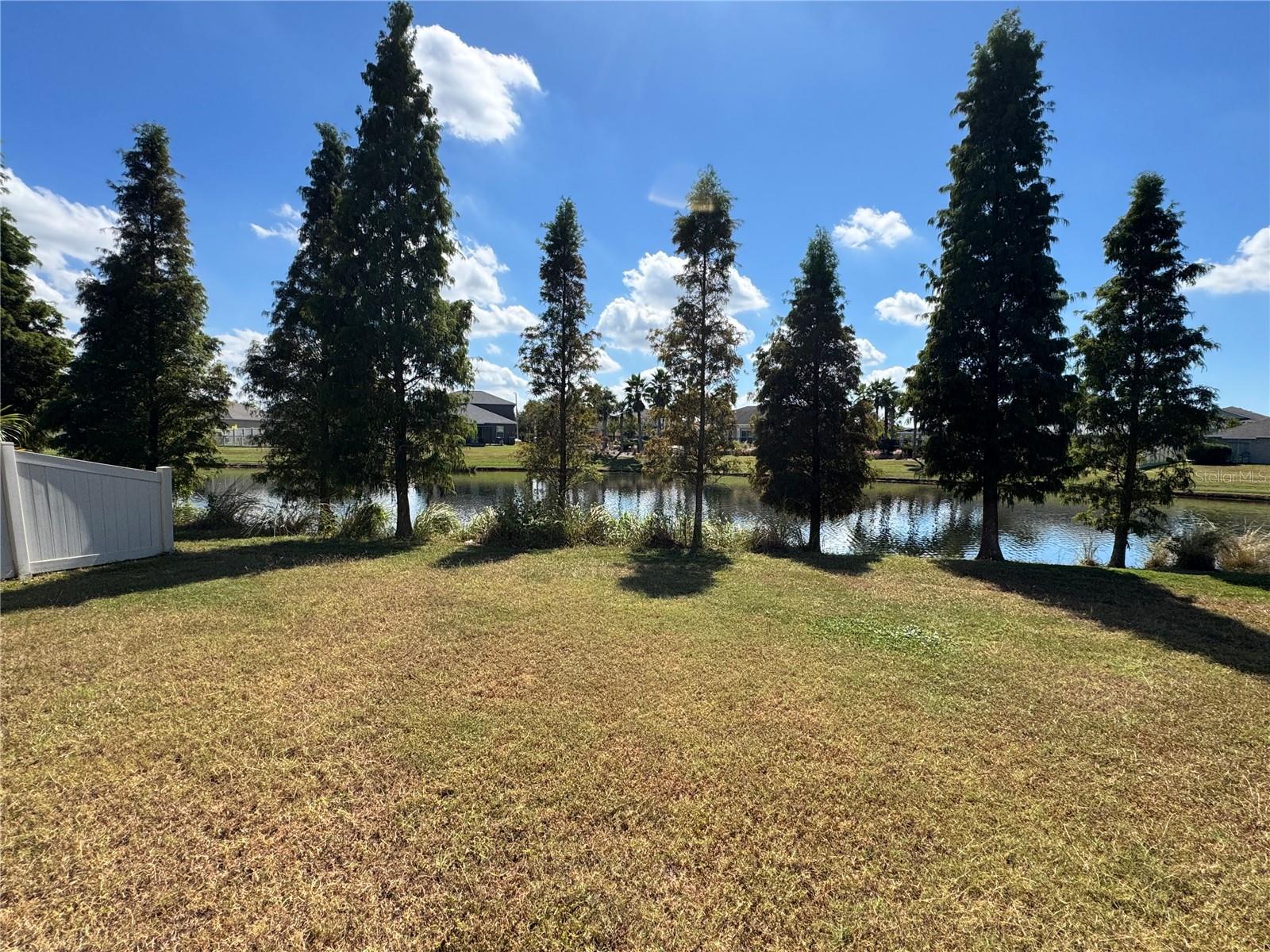 10021 Crested Fringe Drive