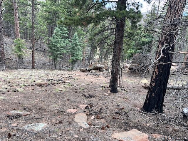 Lot 513 Leslie Loop