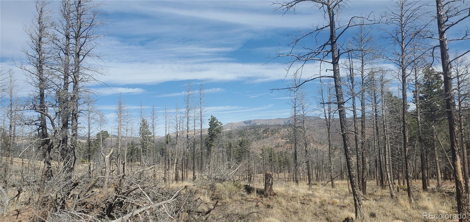 Lot 585 Leslie Loop