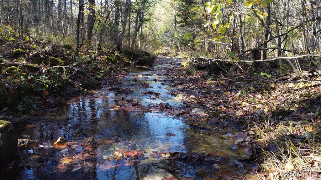 10256 Christina Trail