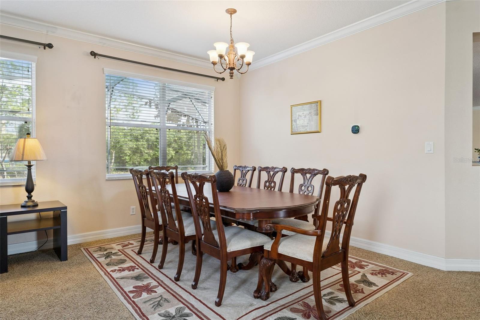 14790 Tullamore Loop