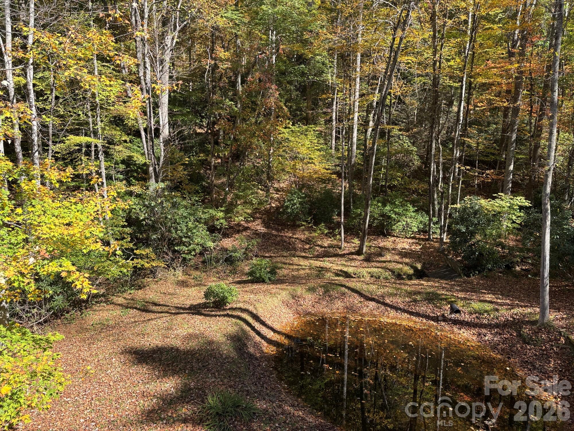 1661 Mckinney Mine Road