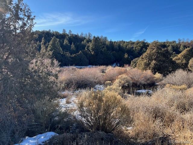 Lot 6016 Forbes Road