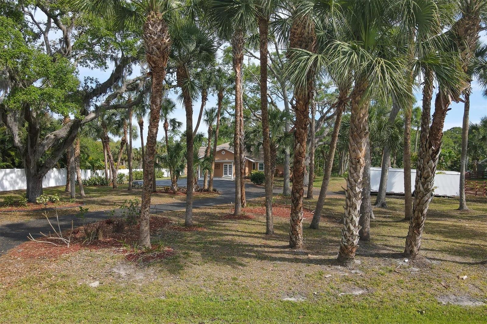 863 Pinto Circle