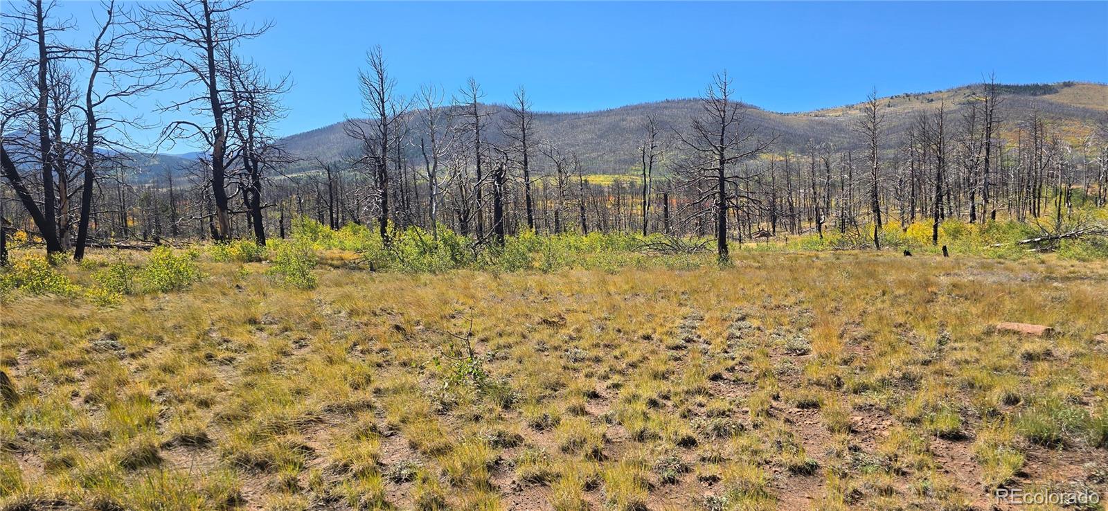 Lot 1684 Emery Loop