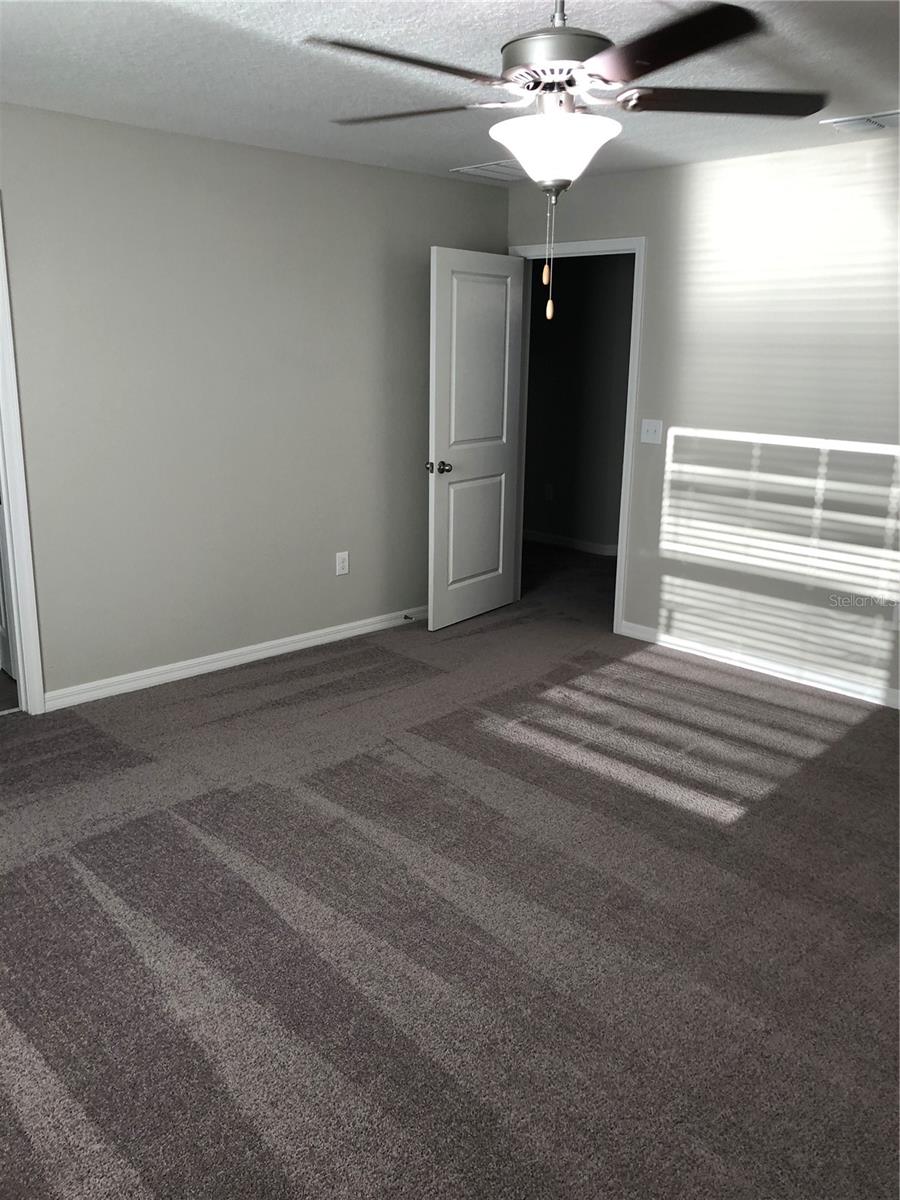 10103 Crested Fringe Drive