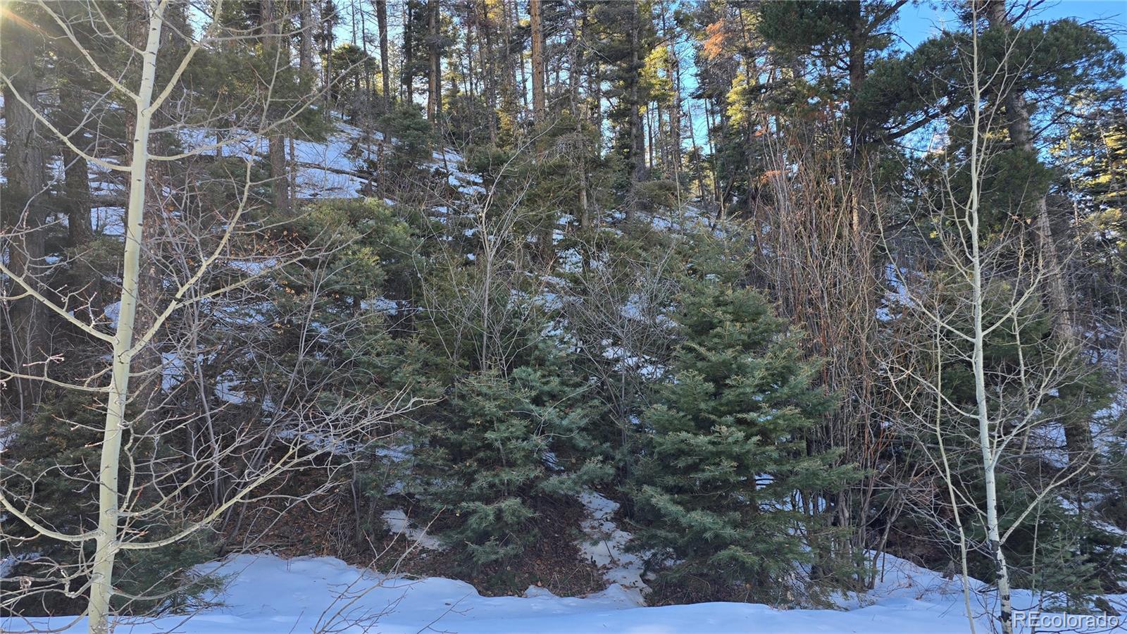 Lot 5540 Joy Road