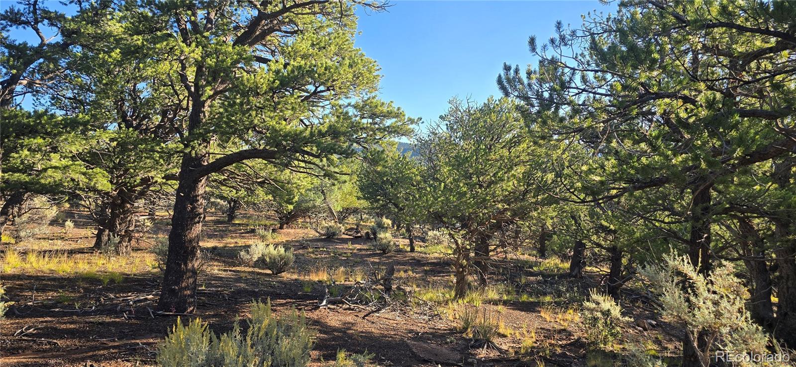 Lot 7381 Platten Road