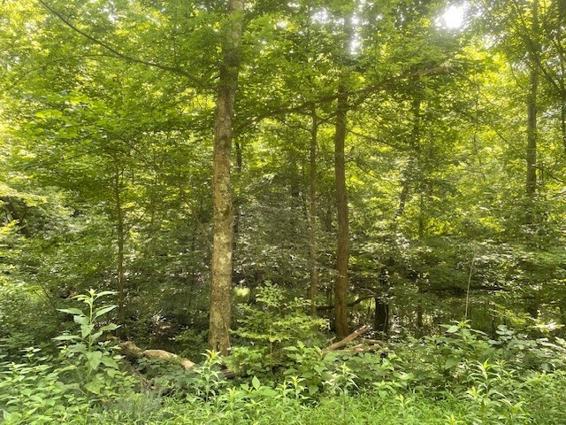 0 Mccollum Road