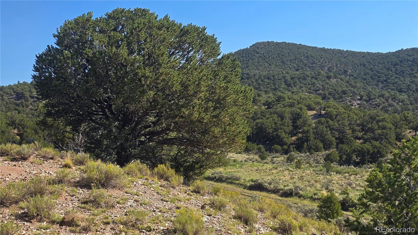 Lot 4296 Renfield Road