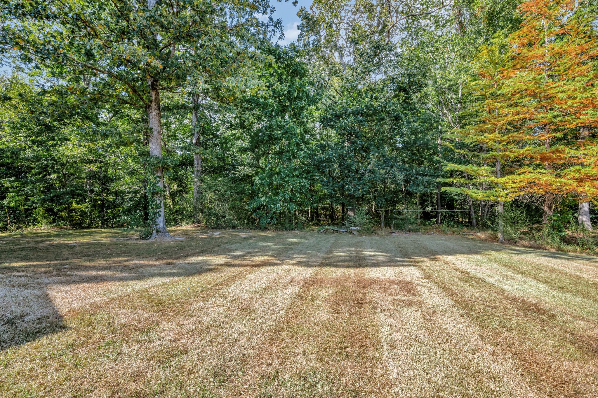 459 River Oaks Dr