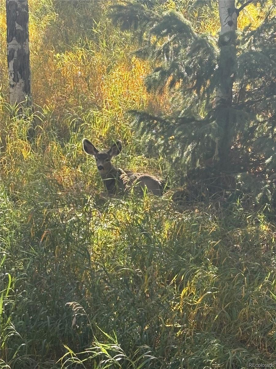 28696 Little Big Horn Drive