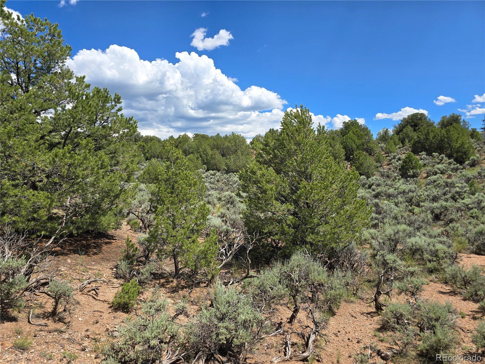 7572 Dashiell Road