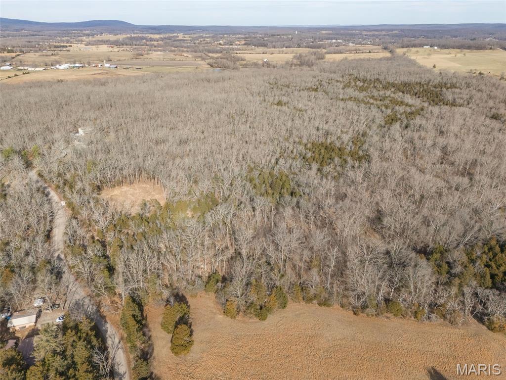 12.5+/- Acres On Effin Road