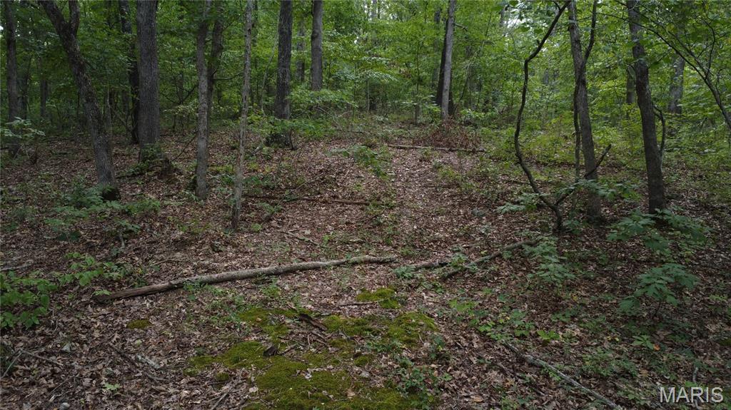 10223 San Juan Trail