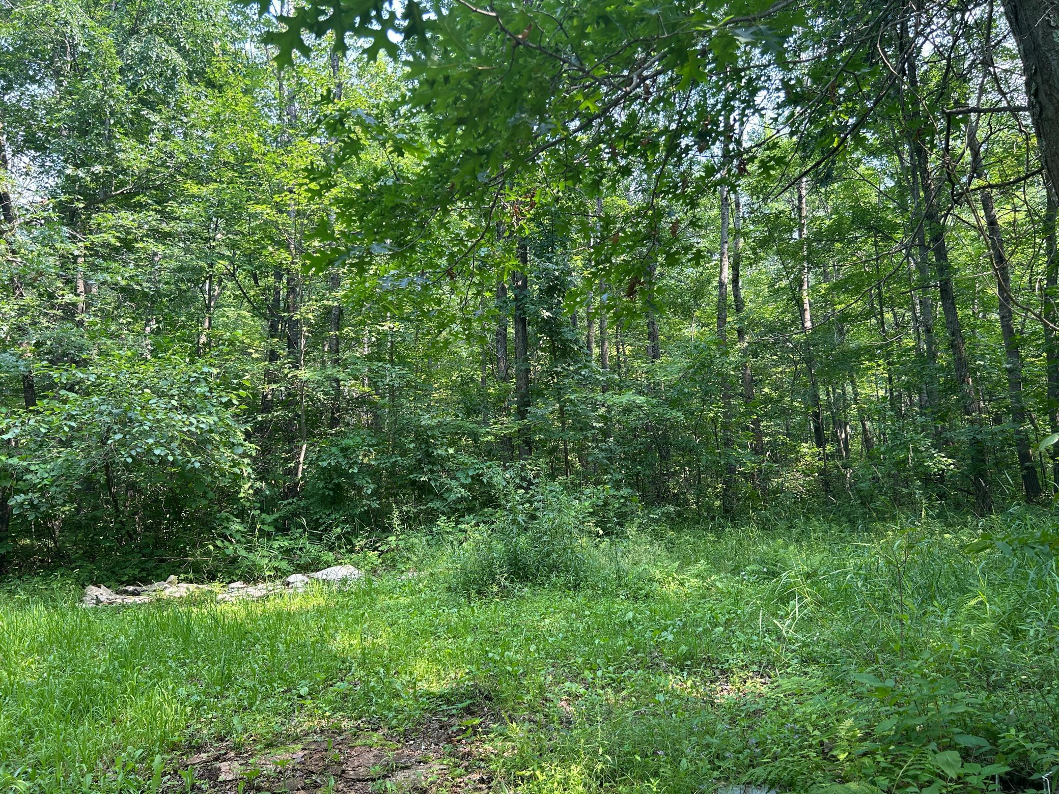 266XX Birch Trail