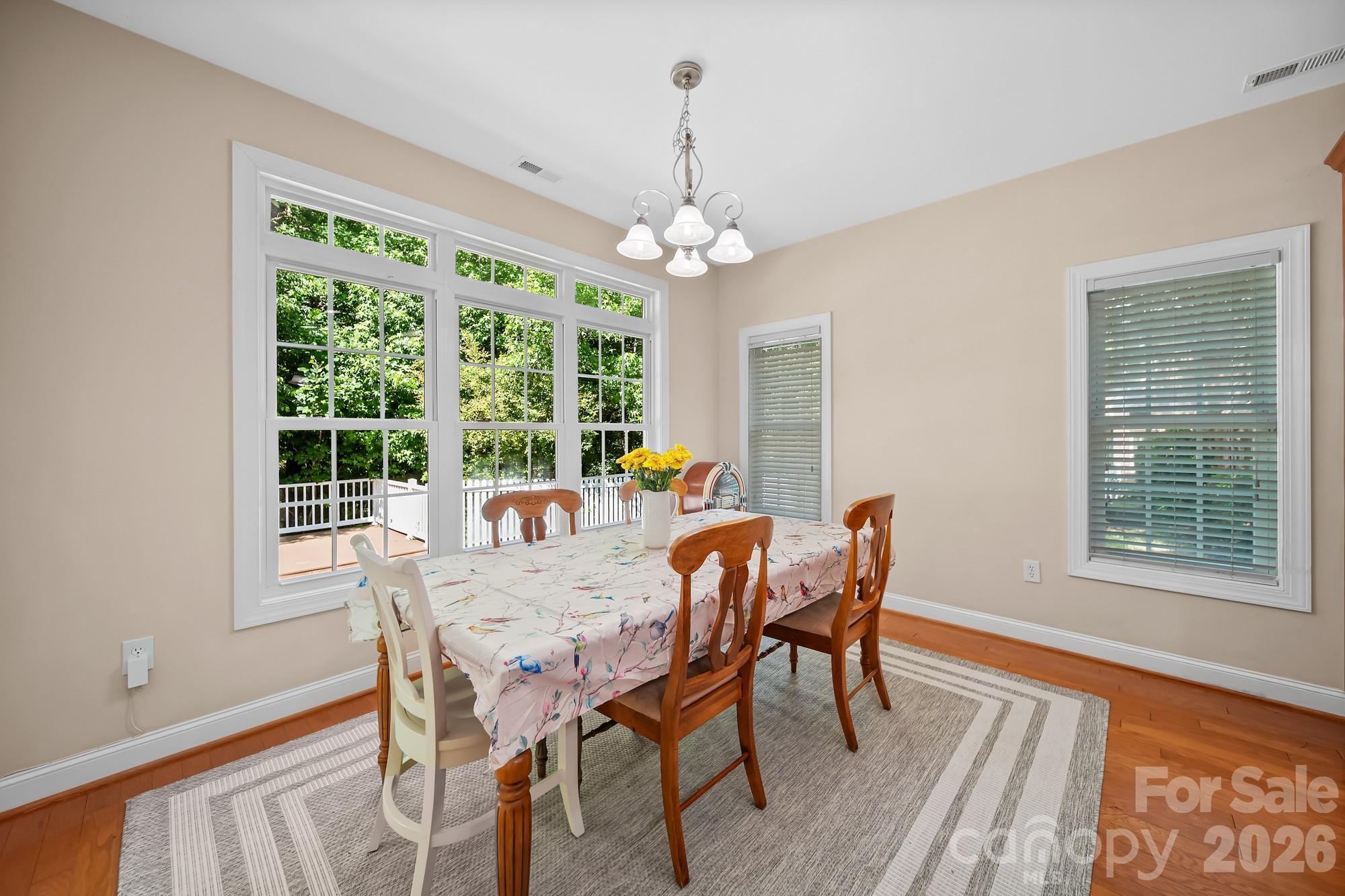 234 Lagoda Drive