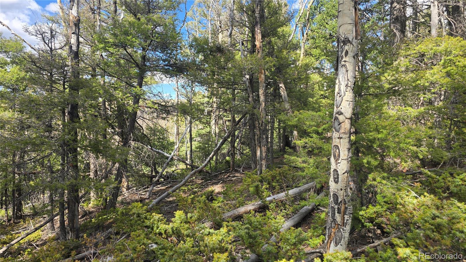 Lot 5261 Scott Road