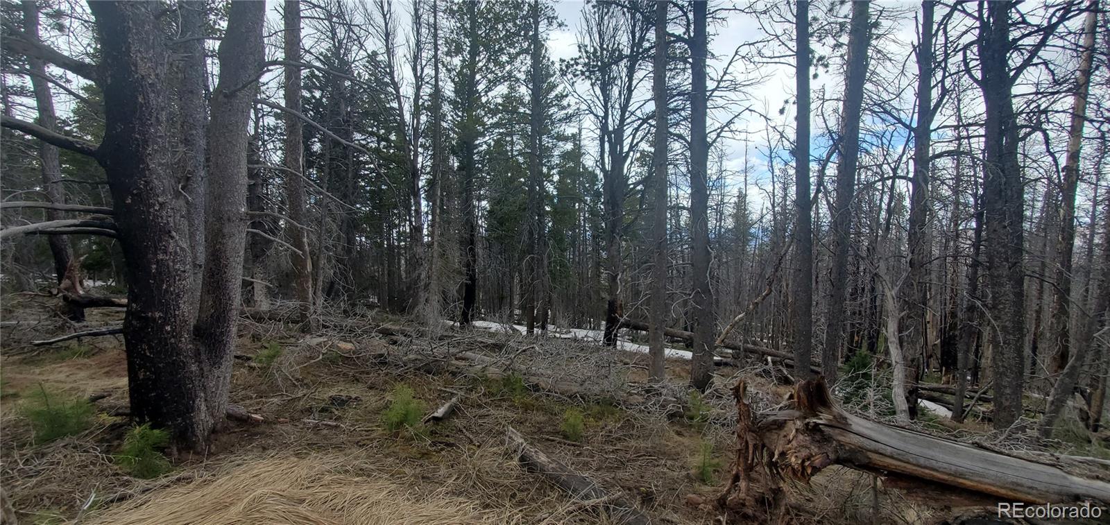 Lot 2738 Newman Place