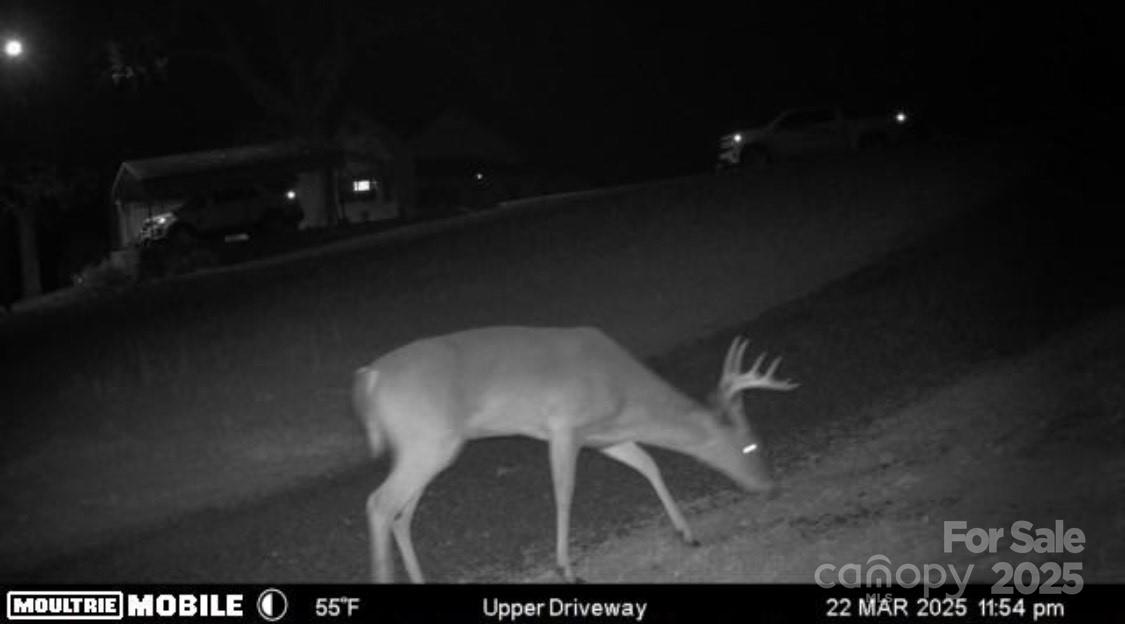 5780 S Nc 16 Business Highway