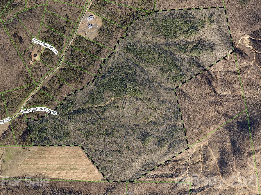 Offering 94 Acres Of Stunning Raw Land Available Now!  Currently Rented Out For Hunting Grounds Right On The Foot Of Pilot Mountain In Nebo NC.  Has A Creek Running Threw It And Is Adjacent To Pilot Ridge Development, Originally This Parcel It Was Designated To Become Phase 2 Of The Development.  Endless Uses, Develop, Leave Raw, Build An Estate Etc... Call Now Before It Is Gone!