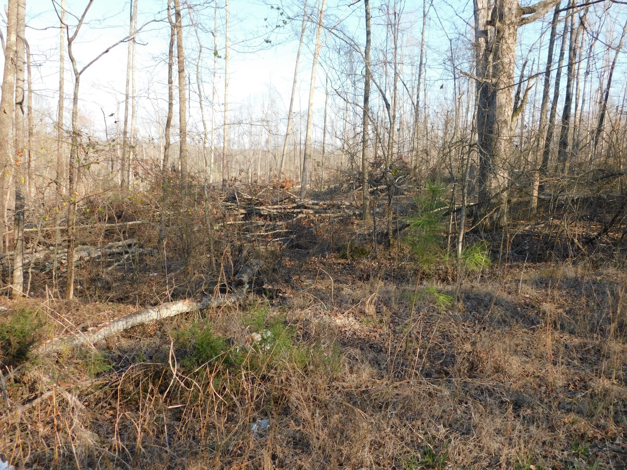 0 Lucas Ridge Road