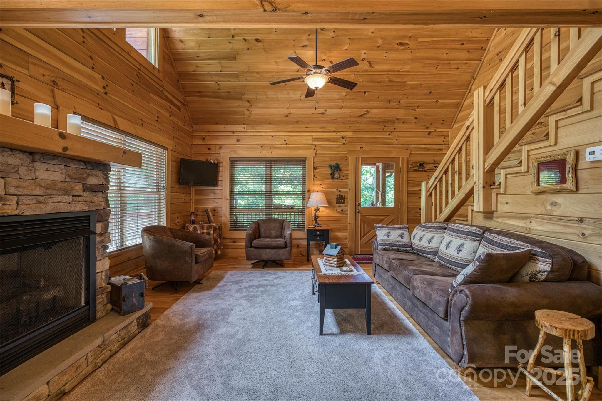 203 Mountain Vista Drive