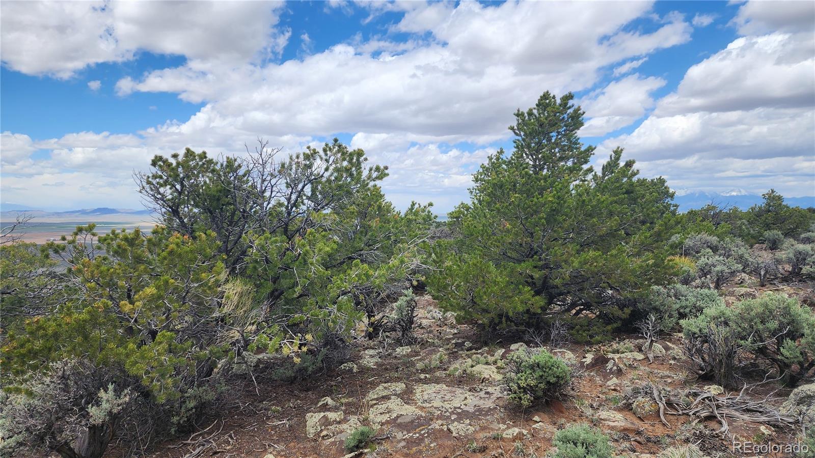 Lot 26 Alta Mesa Drive