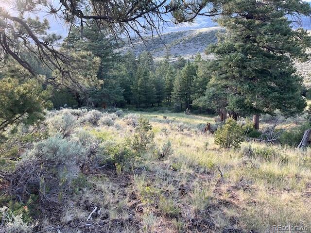 Lot 4630 Spring Road