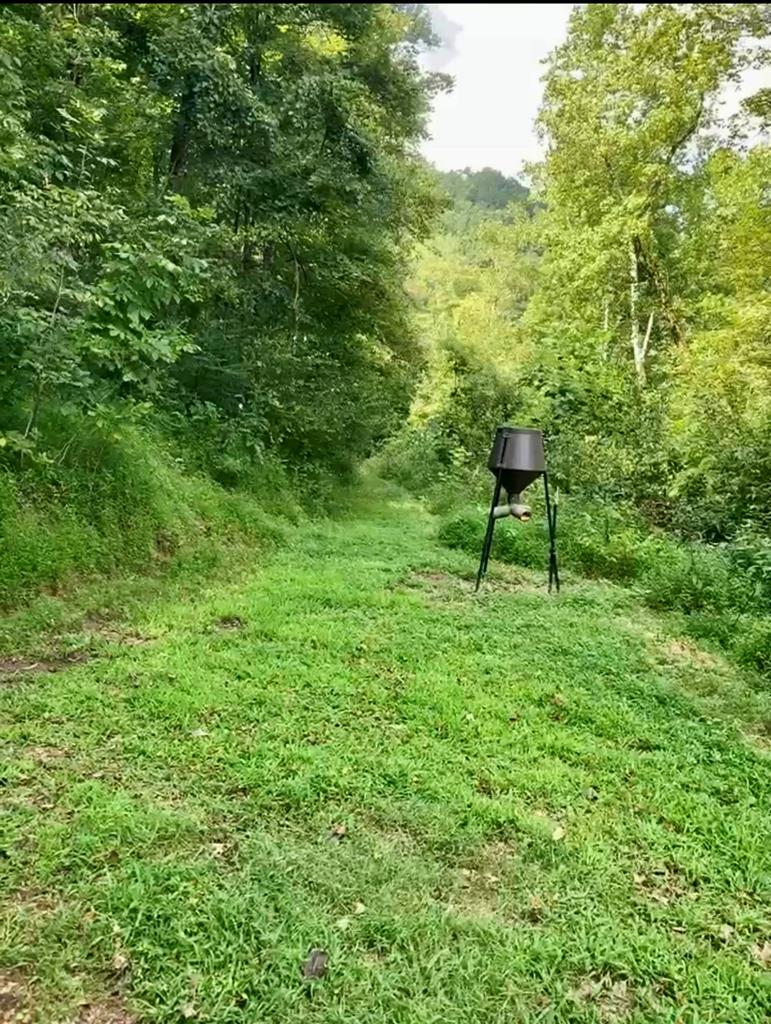 392 Possum Hollow Rd